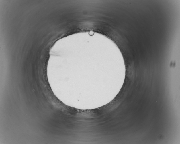 X0000112151201200909181414