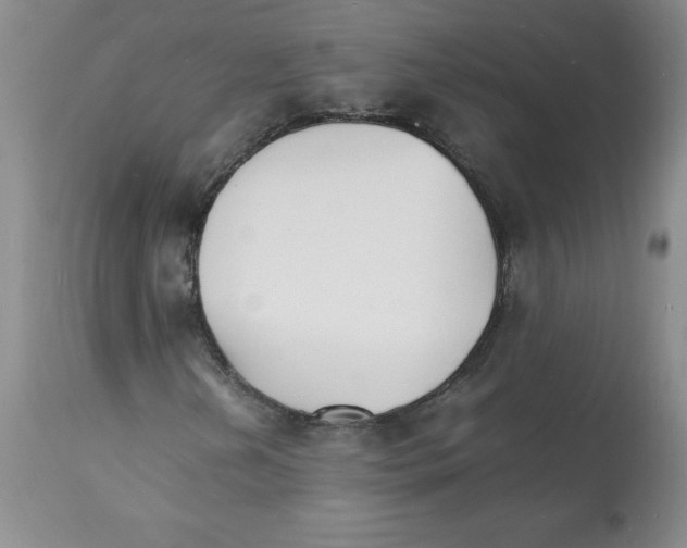 X0000112151202200909181414