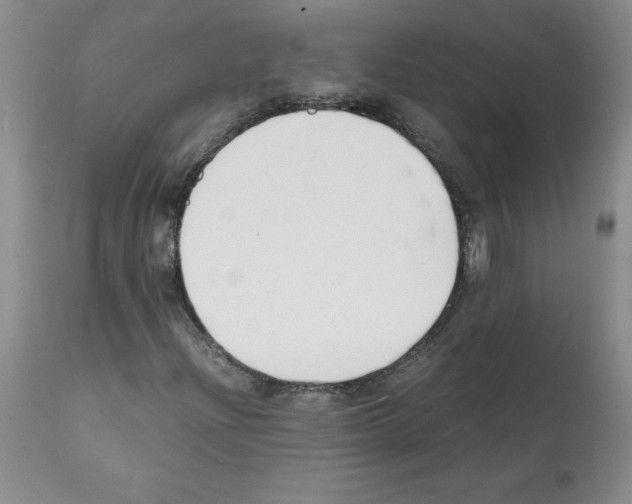X0000112151204200909181414