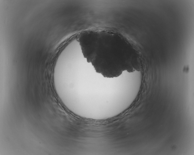 X0000112151206200909181414