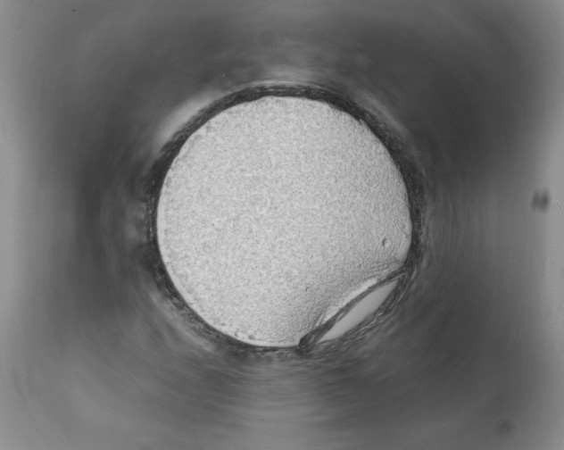 X0000112151208200909181414