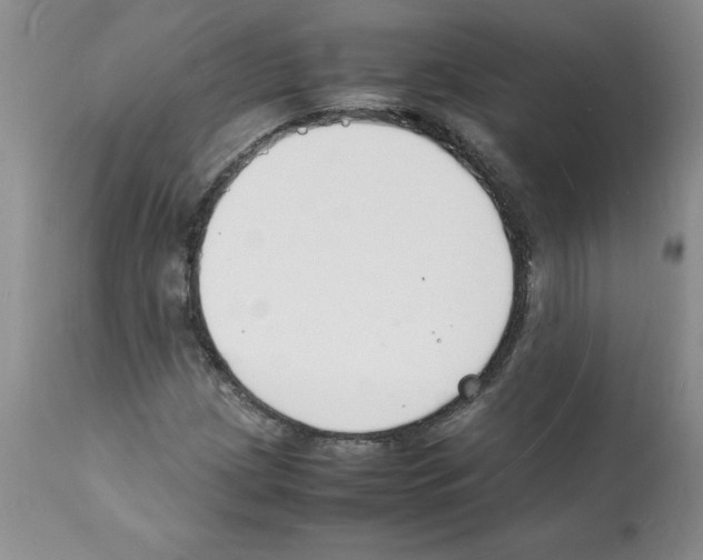 X0000112151209200909181414