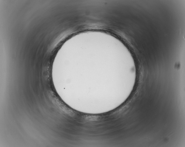 X0000112151211200909181414