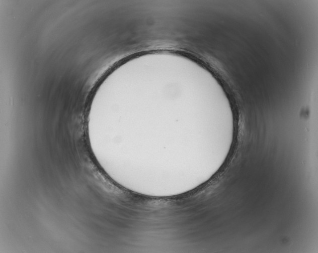 X0000112151212200909181414