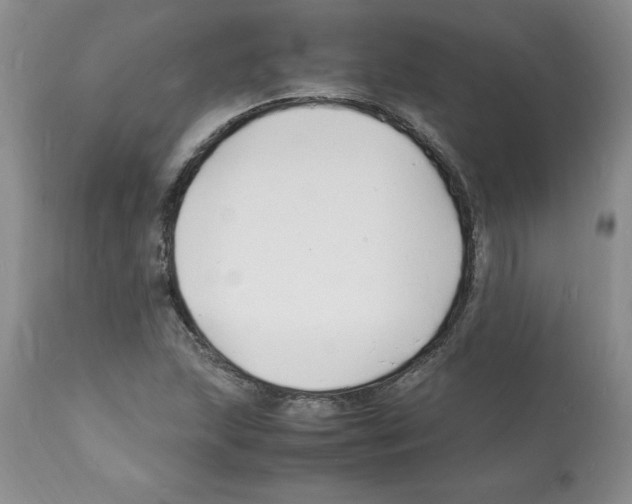 X0000112151215200909181414