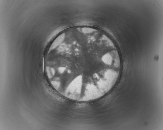 X0000112151219200909181414