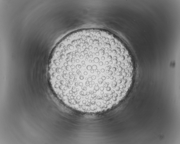 X0000112151220200909181414