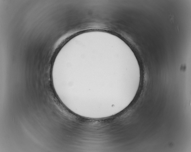 X0000112151222200909181414