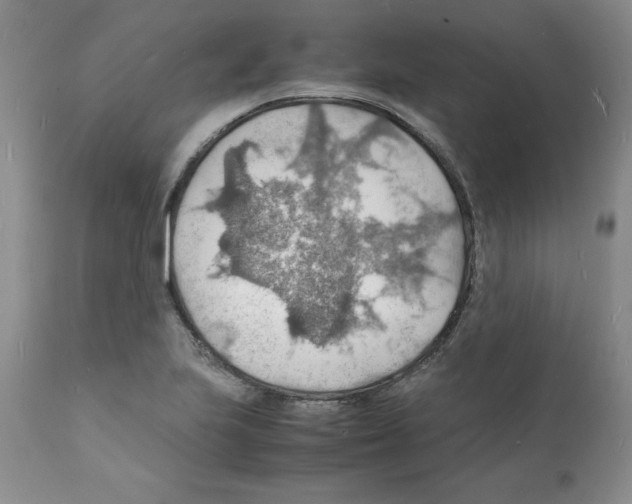 X0000112151223200909181414