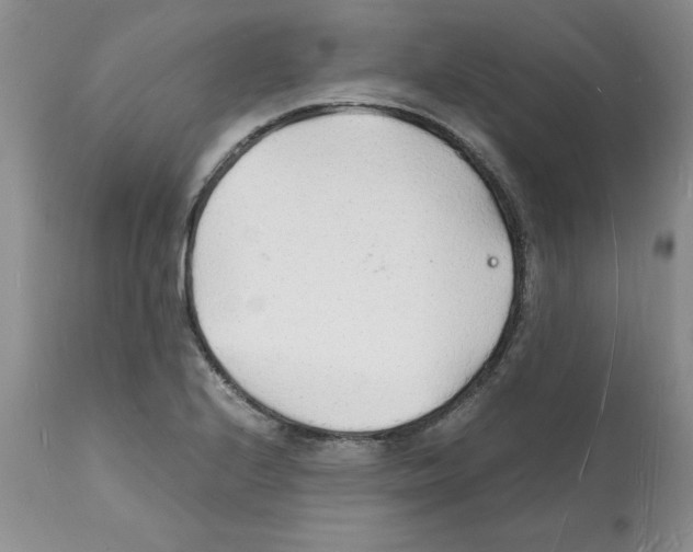 X0000112151224200909181414