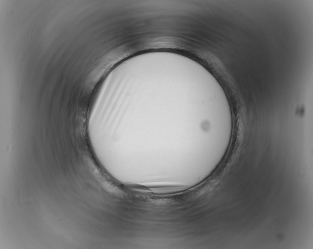 X0000112151225200909181414