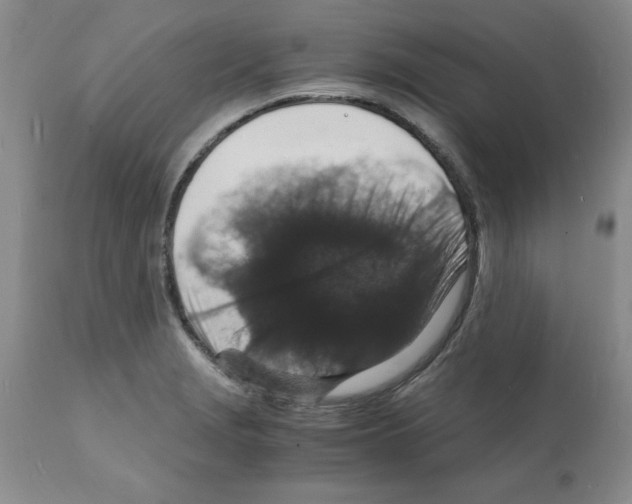 X0000112151229200909181414