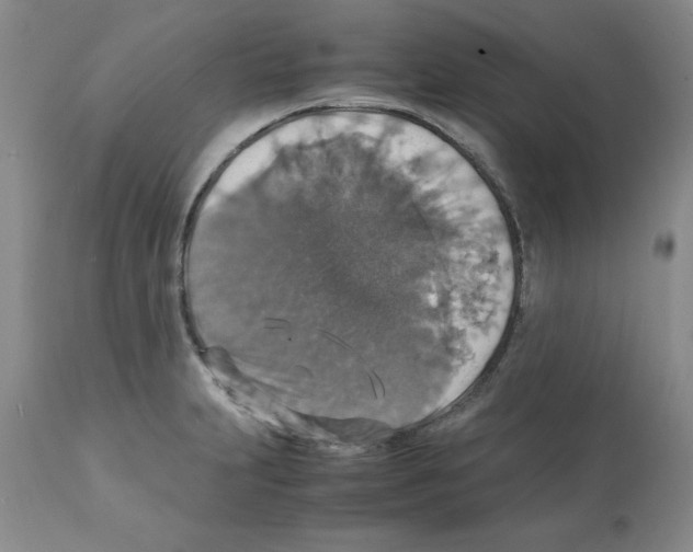X0000112151231200909181415