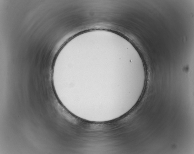 X0000112151232200909181415