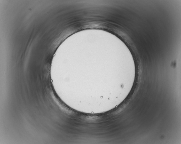 X0000112151233200909181415