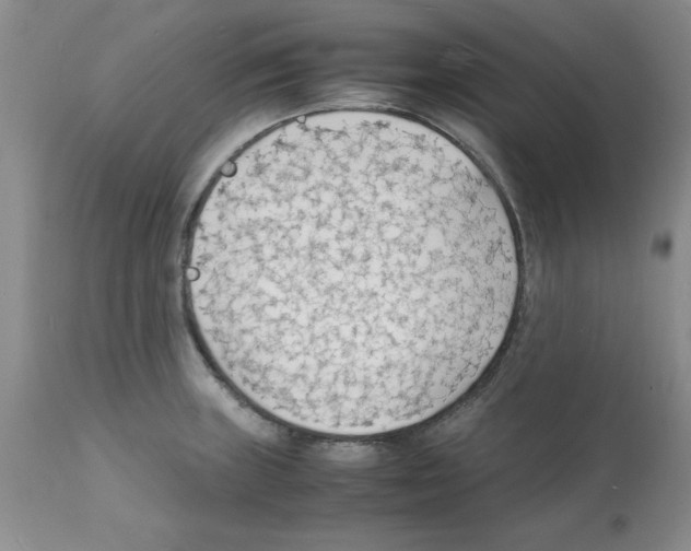 X0000112151235200909181415