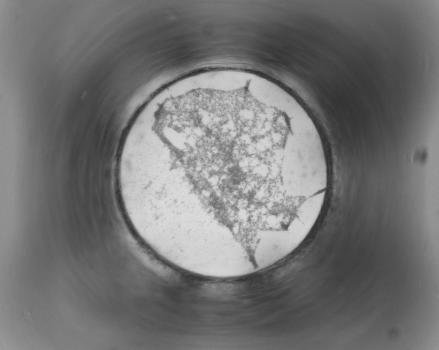 X0000112151237200909181415