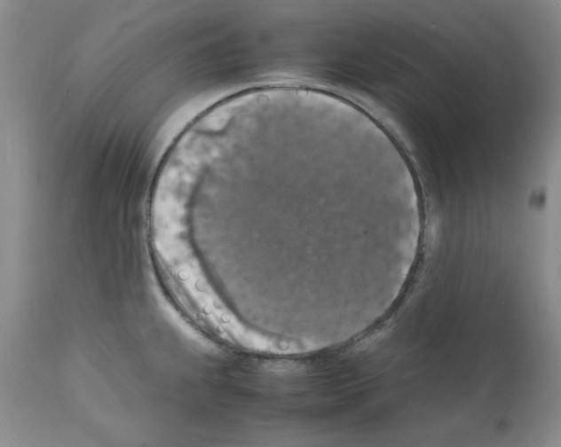 X0000112151239200909181415