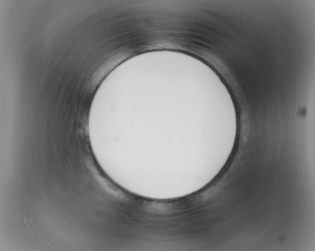 X0000112151241200909181415