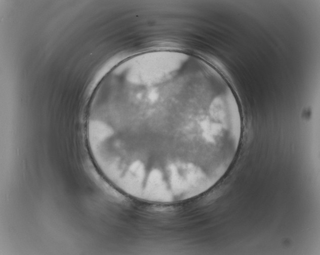 X0000112151243200909181415