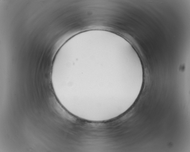 X0000112151244200909181415
