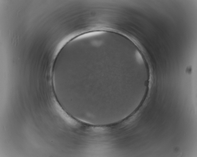 X0000112151246200909181415