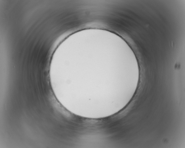 X0000112151248200909181415