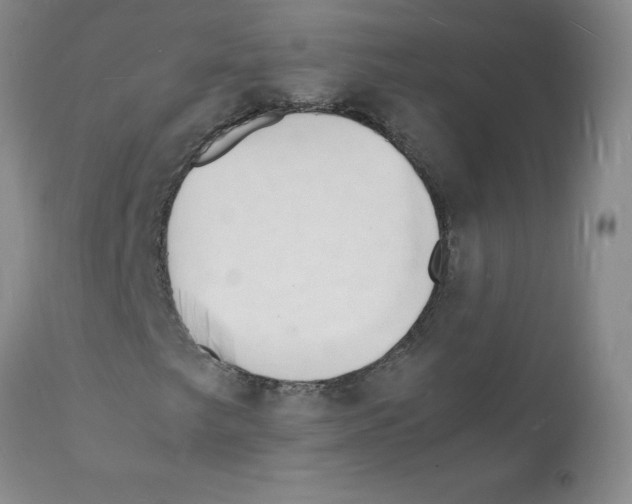 X0000112151249200909181414