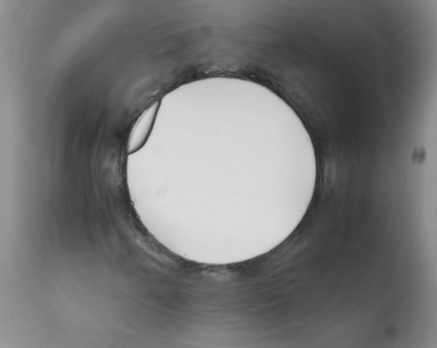 X0000112151250200909181414