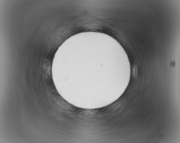 X0000112151251200909181414