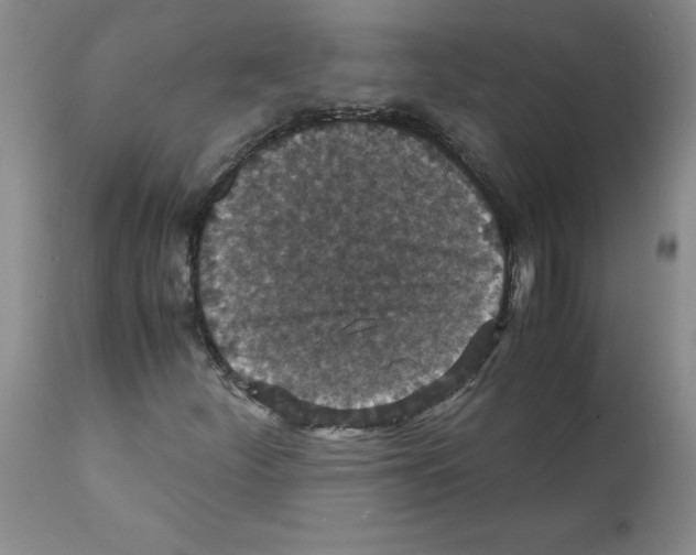 X0000112151252200909181414