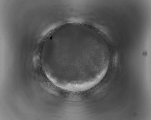 X0000112151254200909181414