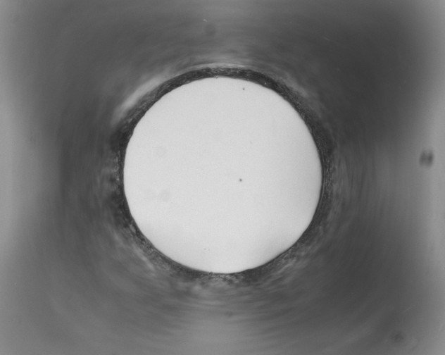 X0000112151255200909181414