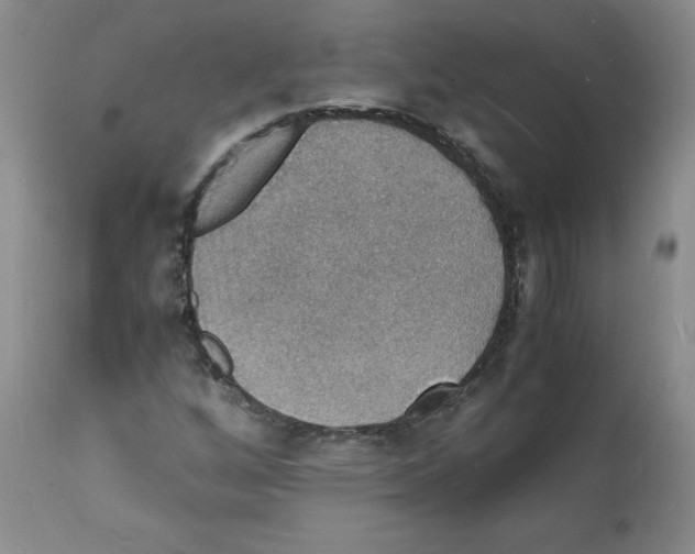 X0000112151256200909181414