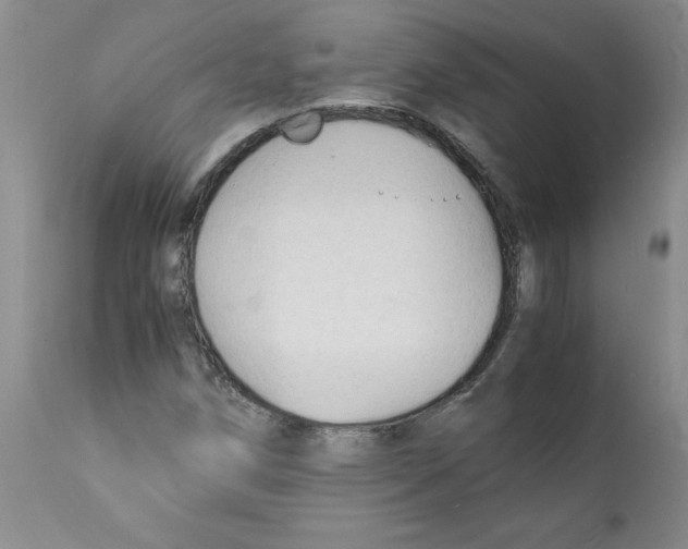 X0000112151258200909181414