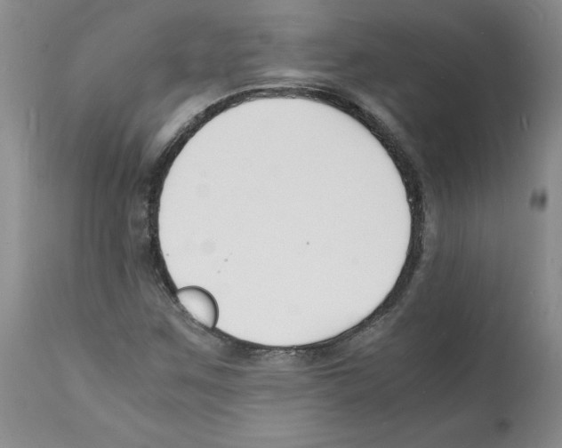 X0000112151259200909181414