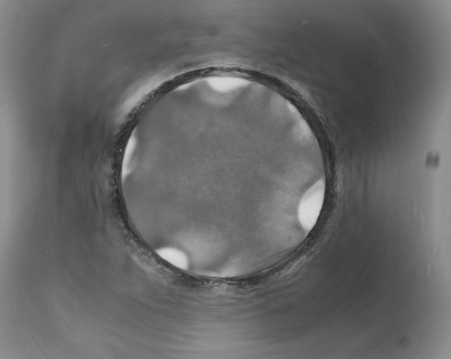 X0000112151263200909181414