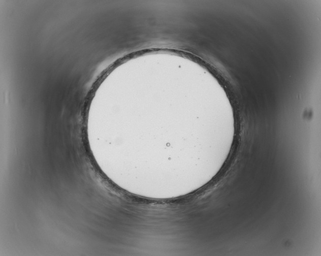 X0000112151264200909181414