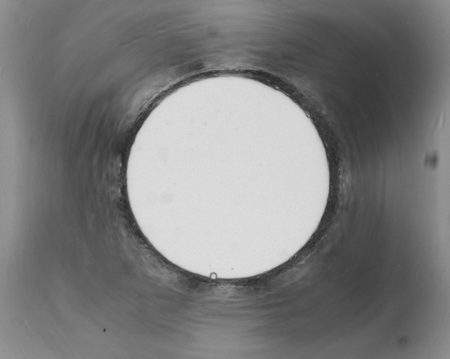 X0000112151265200909181414
