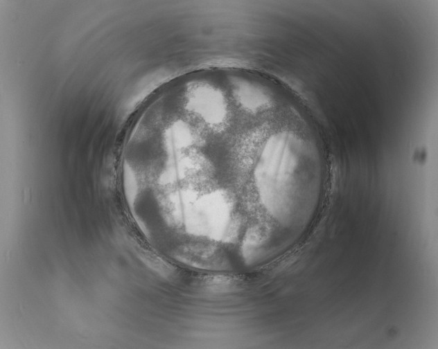 X0000112151266200909181414