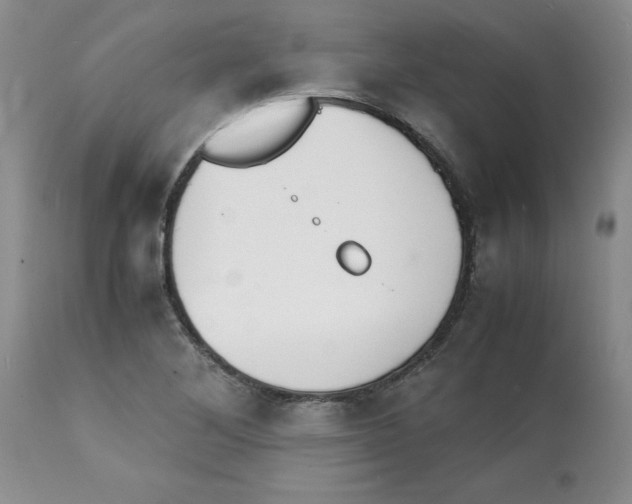 X0000112151268200909181414
