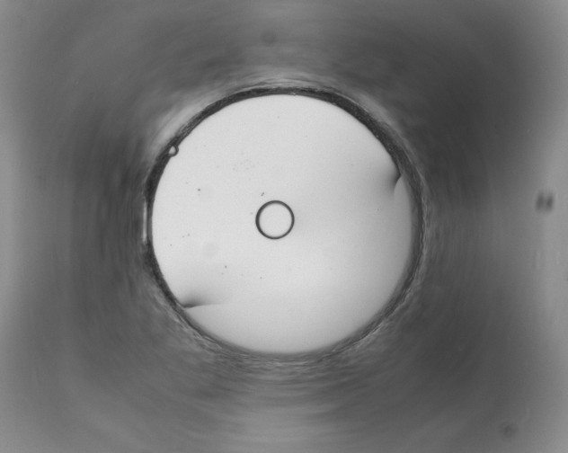 X0000112151269200909181414