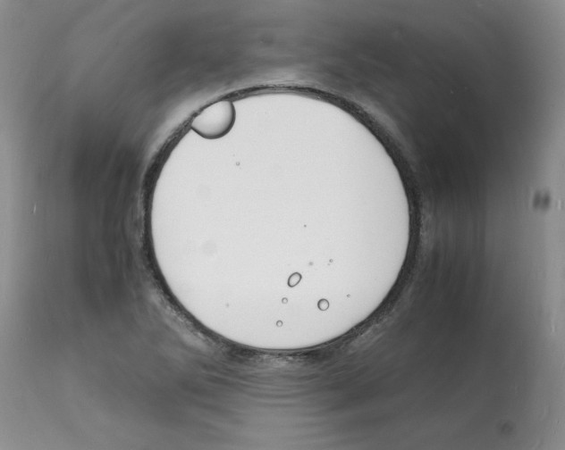 X0000112151270200909181414
