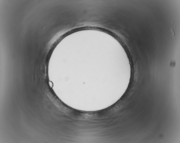 X0000112151271200909181414