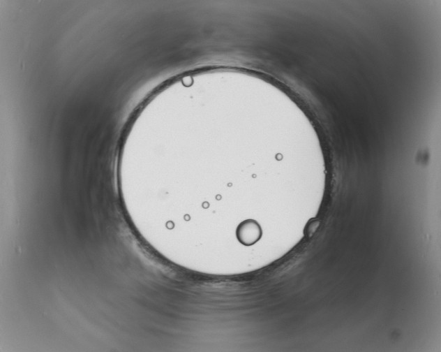 X0000112151272200909181414