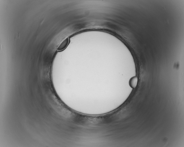 X0000112151273200909181414
