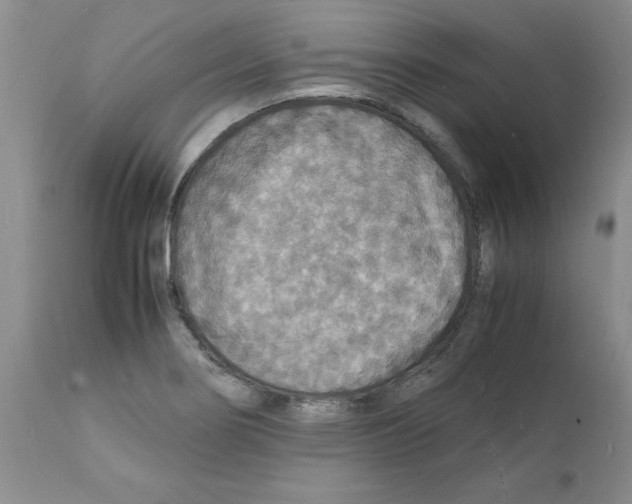 X0000112151274200909181414