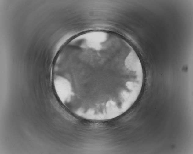 X0000112151275200909181414