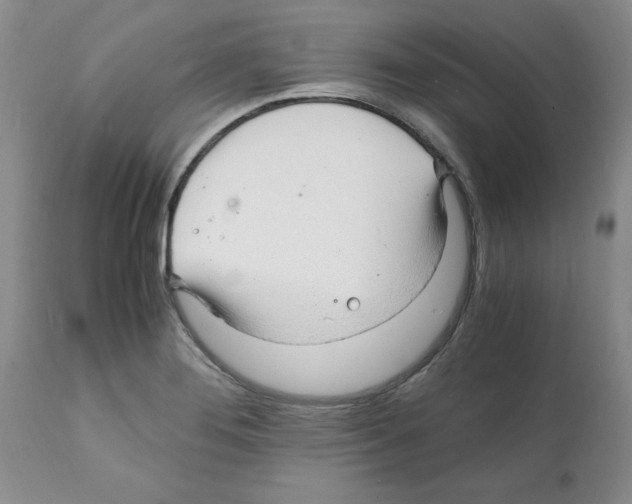 X0000112151276200909181414