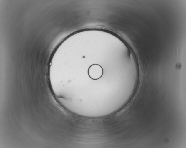 X0000112151277200909181414